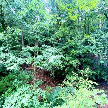 Forest - 23 Marca Sopot By Grand Apartments Buitenkant foto